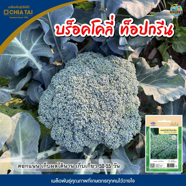 เจียไต๋ เมล็ดบร็อคโคลี่ ท็อปกรีน คุณภาพสูง