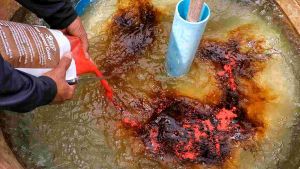 สีน้ำวิทยา​ศาสตร์​ หรือ​ สีน้ำเทียม   **สีน้ำตาล