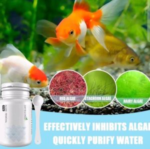 ALGAE REPELLENT AGENT pembersih kolam ikan IFN
