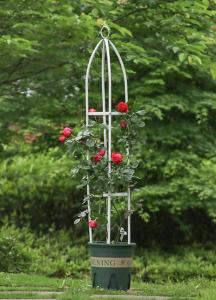 ซุ้มกุหลาบ ซุ้มไม้เลื้อย เหล็ก ซุ้มไม้เลื้อย pvc  rose arch rose trellis Ivy arch strong steel rust proof wrought iron frame height: 145. Diameter 28cm