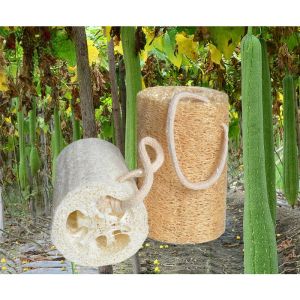 wholesale Natural Loofah Body Scrub Organic Scrub Antibacterial health for bathing washing dishes