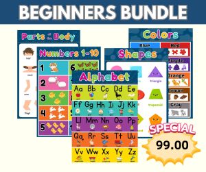 BUNDLE A5 SIZE MINI CHARTS KIDS LAMINATED EDUCATIONAL WALL CHARTS