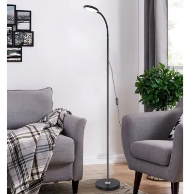 [SG Seller]LED Floor Lamp Multi Brightness Dimmable Lightings Gooseneck Adjustable USB Operated Standing Light for Study Bedside Living Room Piano Aesthetic Lamp White Black