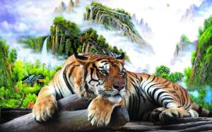 Tranh dán tường 3d Con Hổ kt 80cm*1m2