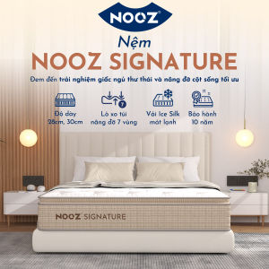 Nệm Foam NOOZ Signature Đệm Cao Su Thiên Nhiên Và Lò Xo Túi Nâng Đỡ 7 Vùng Cơ Thể NOOZ Home Goods