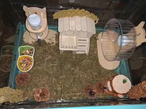 【wuxih】Sedia sedia Hamster sangkar akrilik saiz besar Hedgehog pembiakan   reptilia besar Diy dilipat termostatik rumah panas  Hamster sangkar ruang besar us murah 50/60cm