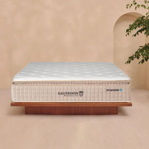 12" Gausmann Rosenheim Clover Adjustable Bed Mattress