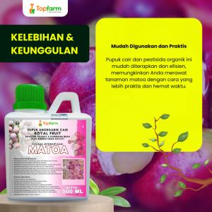 Pupuk Topfarm / Pestisida Topfarm / Pupuk Khusus Matoa / Pupuk Khusus Pelebat Buah Matoa / Obat Matoa Cepat Berbuah / Obat Matoa Anti Perontok / Obat Penggerek Batang Pohon Buah Matoa / Obat Matoa Biar Cepat Berbuah