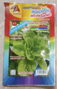 ม้ารุ้ง 🇹🇭 ผักซอง ม้ารุ้ง  ผักสลัด แกรนด์คอส Z3/7 เมล็ดพันธุ์ ผักซอง เมล็ดพันธุ์ผัก เมล็ดผัก ผักสวนครัว ตราม้ารุ้ง