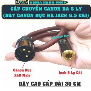 Dây Canon Đực ra 6 Ly Cái dài 30 cm cao cấp - Cáp chuyển Canon ra 6 Ly - Dây chuyển Canon ra Jack 6.5