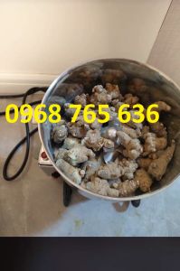 Máy xay dược liệu bột khô cành cây tam thất sâm khô siêu mịn 1000g SUS304