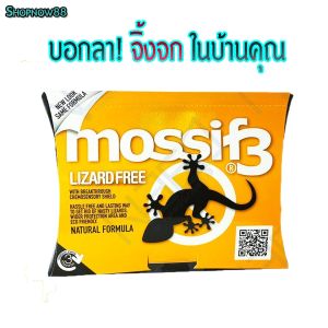 ยาไล่จิ้งจก ผงไล่จิ้งจก ออแกนิค ผลิตจากธรรมชาติ (Non toxic)