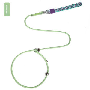 Personalized Striped Slip Lead Dog Leash - Heavy Duty 500kg Nylon Rope Reflective Outdoor Training Leash for Puppy Cats (Orange/Light Green/Blue) with Zinc Alloy Swivel Ring