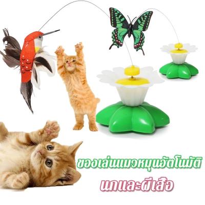 PET&CAT สินค้าใหม่!! ของเล่นสัตว์เลี้ยง ผีเสื้อหมุน นกหมุน