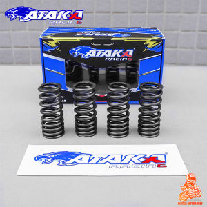 ATAKA VALVE SPRING FOR SNIPER 150 SNIPER 135 LC135 Racing