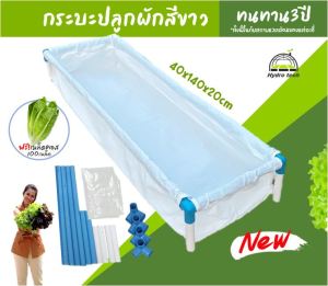 [ใหม่ล่าสุด] กระบะขาวโครงขาว กะบะเพาะปลูก แปลงผักเพาะปลูก