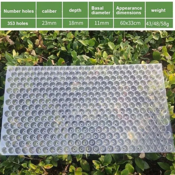 Hand Throwing Rice Seedlings Tray, Seed Germination Propagation ...