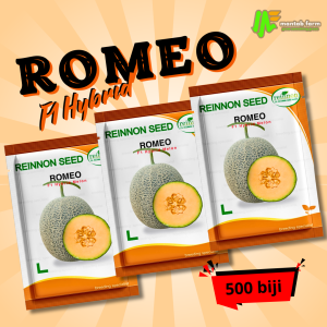 Benih Bibit Rock Melon F1 Hybrid - ROMEO - Reinnon Seed