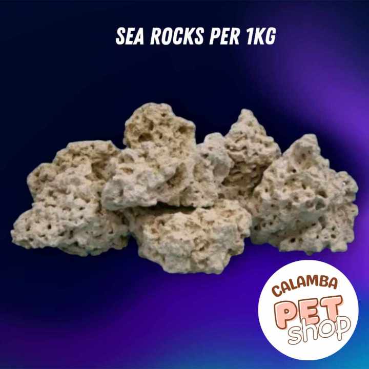 Dry Rocks for Saltwater Aquariums per KG Lazada PH