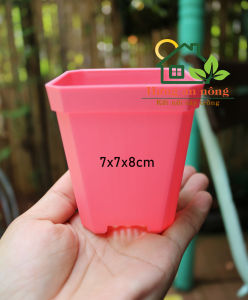 CV7DB - Sét 10 chậu nhựa dầy chất liệu PP trồng sen đá bonsai xương rồng ( không Kèm dĩa lót )