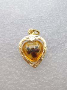 สาริกา ไม้แกนจันทร์ แช่น้ำมันจันทร์หอม เสน่ห์แรง ฟรี เหลียมกรอมทองไมคอล