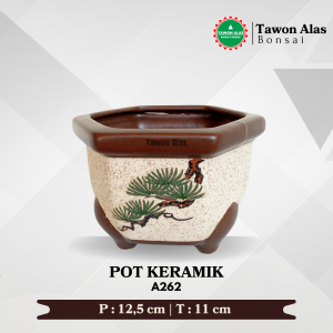 Pot Keramik Bonsai dan Tanaman Hias Segi Enam Medium