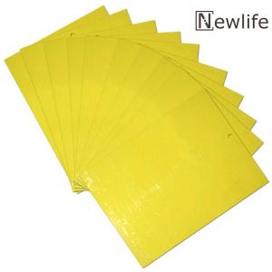 【HOT】50pcs Strong Flies Traps Bugs Sticky Board Catching Insects Pest Killer