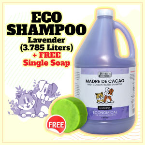 Anti Galis Kati Kamot Madre de Cacao High Concentrated Shampoo (Lavender Scent) 1 Gallon Free Madre de Cacao Round Soap 50g Anti Mange Anti-Fungal and Anti-Bacterial