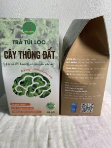 Combo 4 hộp trà túi lọc cây thông đất Bảo Khang  160 gói trà cây thông đất giúp tăng trí nhớ sa sút trí tuệ tai biến đau nhức xương khớp