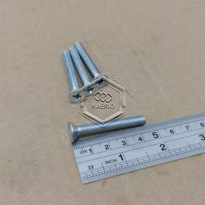 10 BIJI BAUT JF M6X45 FLAT HEAD SEKRUP M6 X 45 PANJANG 45CM 45 CM BAUD 45 6X45 6 X 45 MM 45MM OBENG PLUS SKRUP PUTIH GALVANIZ GALVANIS GALPANIS PITCH DRAT 1.0