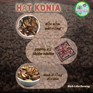 [3KG] HẠT KONIA/ HẠT CẦY ĐẶC SẢN NÚI RỪNG THƠM NGON BÉO NGẬY