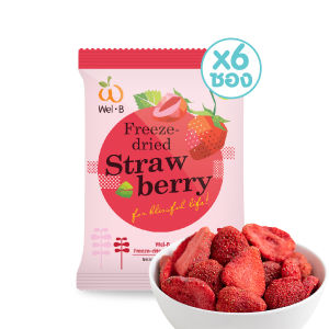 Wel-B Freeze-dried Strawberry 14g (สตรอเบอรี่กรอบ 14g. ตราเวลบี) (แพ็ค 6 ซอง) - ฟรีซดราย ผลไม้กรอบ สตอเบอรี่ฟรีซดราย ผลไม้ฟรีซดราย ขนมเด็ก