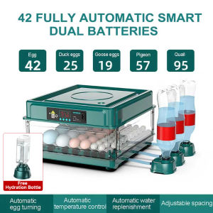 Fully Automatic Egg Incubator 220V/12V Dual Power Supply Automatic Temperature Control/Water Replenishment/Egg Turning Digital Eggs Automatic Incubator Hatcher Brooder with Temper Applicable Chicken Goose Quail Duck
