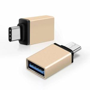 1 Unit OTG Mini USB to Type C Bahan Metal Pro Cell Head Adapter Tipe-C Male to USB Adapter Charger Kipas