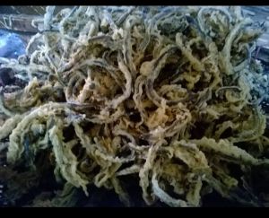 kripik belut/keripik belut/keripik belut khas jogja/belut crispy/keripik belut murah/camilan sehat