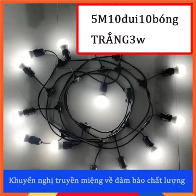 Dây đèn trang trí kèm bóng 3W 5W - Lắp đặt ngoài trời | Sáng tiết kiệm & chống nước
