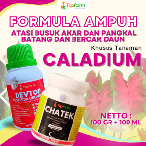 Pestisida Topfarm / Obat Hama Untuk Tanaman Bunga / Obat Hama Untuk Bunga Hias Keladi / Obat Hama Ulat Pada Bunga / Obat Hama Kutu Tanaman Bunga / Obat Hama Bunga Hias Caladium / Obat Semprot Hama Daun Bunga Caladium
