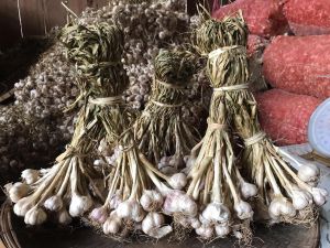 กระเทียมไทยมัดจุก น้ำหนัก 1 กิโล #ปี 2568