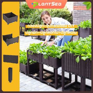 กระบะปลูกผักสวนครัว อุปกรณ์รวมกล่องปลูก แปลงปลูกผักสำเร็จรูป กะบะใส่ดินปลูกต้นไม้ ถุงปลูกกะบะแสนดี กะบะปลูกผักสำเร็จรูป กะบะเพาะปลูก ประกอบง่าย น้ำหนักเบา ใช้ทนได้​ 10​ ปี