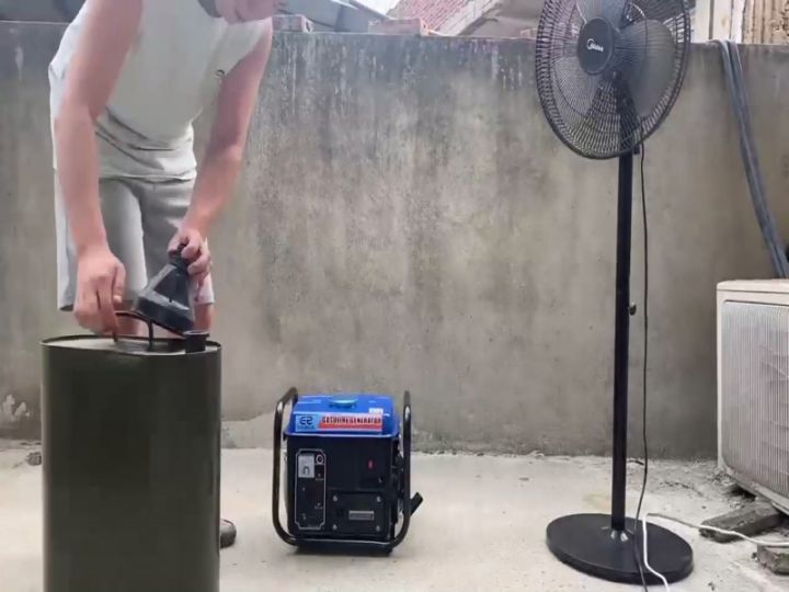 Portable Gasoline Generator 2 Stroke 950W High Quality Heavy Duty Petrol Engine Generators