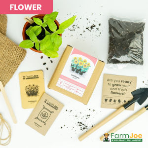 Growing Kit SUNFLOWER DWARF • Seedling Kit • Seed Starting Kit • Grow Kit • FarmJoe