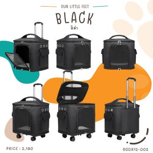 กระเป๋าใส่สัตว์เลี้ยงทรงสี่เหลี่ยมลากได้ขนาดใหญ่