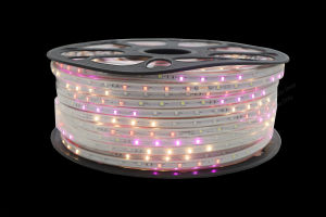 Đèn Led Dây đổi màu RGB ngoài trời Led dây trang trí đẹp bán lẻ bán sỉ