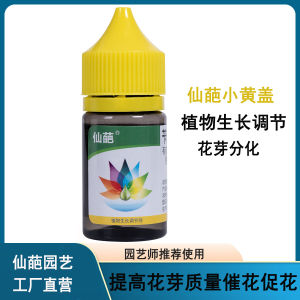 Auxin Benzoaminopurine Cell Division Hormone Plant Germination Promoter Side Bud