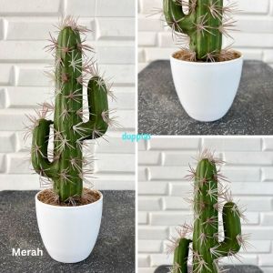 Tanaman Hias Pohon Artificial Kaktus Cowboy Duri Latex Variasi Warna Pot Melamine Mini Dekorasi Meja Kerja