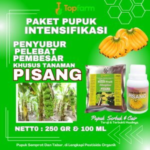 Pupuk Pisang Ambon / Pupuk Pisang Cepat Berubah / Pupuk Pembesar Buah Pisang / Pupuk Pelebat Buah Pisang / Pupuk Pisang Tanduk