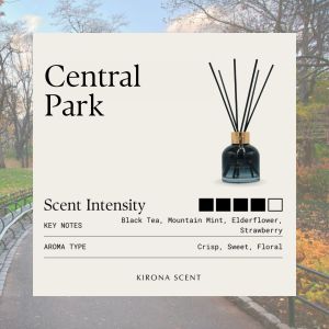 [KIRONA SCENT] Ritz Black Reed Diffuser 90ml | Essential Oil Aroma Diffuser | Perfume Hotel Malls Inspired Scents & Fragrances