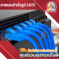 Cable Lan CAT5 50m สายแลน เข้าหัวสำเร็จรูป 50เมตร (สีน้ำเงิน). 