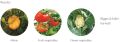 Organic Melon Vegetable Fertilizer 426 (400g)- [Bundle of 2]. 