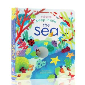 Usborne Peep Inside Lift Flap Board Book 偷偷看里面 英文原版3D立体洞洞翻翻书儿童早教启蒙科普认知 JW Happy Store